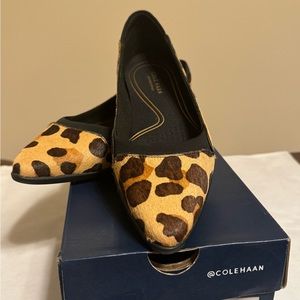 NWT - Cole Haan Grand Ambition Skimmer (Pointy Toe Flat) in Jaguar Haircalf